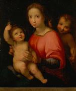 Andrea del Sarto Maria mit Kind und Johannesknaben oil on canvas